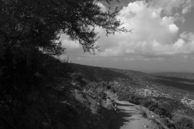 Engebeli dağların arasından geçen dolambaçlı bir patika seyrek bitki örtüsü ve benekli güneş ışığıyla çevrili. Yukarıdaki bulutlar, bu sakin manzara için dramatik bir zemin oluşturuyor..