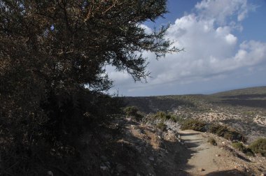 Parçalı bulutlu bir gökyüzünün altında seyrek bitki örtüsüyle çevrili kayalık bir arazide manzaralı bir yürüyüş yolu esiyor. Sahne, huzurlu bir ortamda doğanın güzelliğini yakalar..
