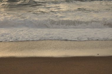 Altın güneş ışığı, yumuşak okyanus dalgalarını kumlu bir plaja çakılırken yansıtır. Sakin bir ortam yaratıyor. Rahatlamak ve düşünmek için ideal..