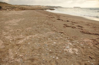 Kıyı şeridi alçak gelgitle ortaya çıkan geniş bir kumsal gösteriyor. Dağılmış çakıl taşları ve deniz yosunlarının iplikleri dalgalar kıyıda sessizce dolaşırken doğal bir desen oluşturur..