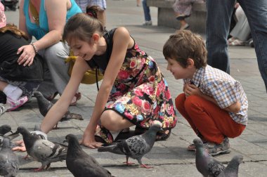 İki çocuk canlı bir şehir meydanında güvercinlerle oynamayı ve beslenmeyi seviyor. İnsanlar etrafta dolanıp, canlı bir sahne yaratırken atmosfer sıcak ve neşeli..
