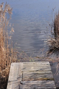 Kırsal bir ahşap iskele, kuru otlar ve kamışlarla çevrili yumuşak suyun üzerine uzanır. Huzurlu sahne doğanın güzelliğini yakalar ve suyun yanında huzurlu anları yansıtır..
