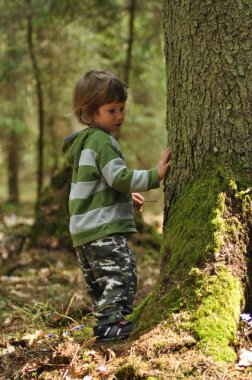 Yeşil ve gri çizgili kapüşonlu genç bir çocuk, gür bir ormanda yosunlu bir ağacın yanında duruyor. Doğada bir merak ve neşe anı yaşıyor..