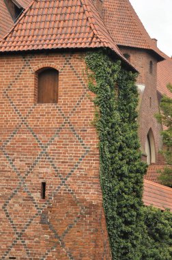 Duvarlarına sarmaşık tırmanan büyüleyici eski bir tuğla kule tarihi bir yerde duruyor. Sahne, açık mavi gökyüzü altında kırsal mimarinin güzelliğini yakalıyor..