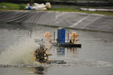 Bir su havalandırma sistemi, büyük bir gölette suyu verimli bir şekilde karıştırıyor, sıçrama ve kabarcıklar yaratıyor. Bu teknoloji, kırsal bir ortamda su kalitesinin artmasına ve yerel ekosistemlere yarar sağlamasına yardımcı olur..