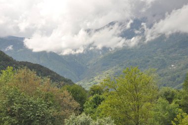 Bulutlu bir gökyüzünün altında yükselen dağlar, ön planda canlı yeşil ağaçlarla kaplı, sakin ve huzurlu bir atmosfer sağlıyor..