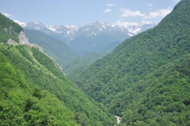 Göz kamaştırıcı bir dağ vadisi manzarası canlı yeşil ağaçlar ve yüksek karlı dağlar. Sahne, güneşli bir günde güneşle yıkanır ve güzel bir manzara yaratır..