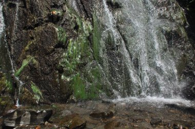 Temiz su kayalık yüzeylerden aşağı yuvarlanır ve sığ bir havuza sıçrarken rahatlatıcı bir ses yaratır. Yeşillik yeşil yosun ve bitkiler şelalenin etrafında gelişir ve doğal güzelliği artırır..