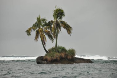 Okyanustan yükselen sakin kayalık bir ada, çok sayıda palmiye ağacı ve çimen parçalarına sahiptir. Gri gökyüzü tepemizde belirirken, yumuşak dalgalar kıyıya çarpıyor..