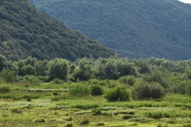 Parlak bir gökyüzünün altında, engin yeşil bir vadi yuvarlanan dağlar tarafından çerçevelenir. Manzarada yoğun ağaçlar ve canlı otlar yer alır, açık hava aktiviteleri için mükemmeldir..