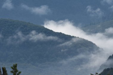 Sis ve sis yuvarlanan yeşil dağların üzerinde süzülerek sakin bir atmosfer yaratıyor. Yumuşak bulutlar, öğleden sonra güneşinin altında, manzara boyunca zikzak çizerek huzurlu manzarayı güçlendiriyor..