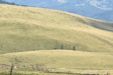 Geniş yeşil tepeler açık mavi bir gökyüzünün altında arazi boyunca uzanır. Uzak dağlar görkemli bir şekilde duruyor, gün boyunca doğada huzurlu bir manzara yaratıyor..