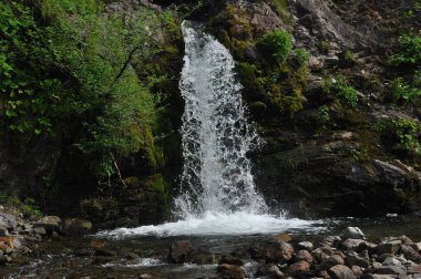 Güzel bir şelale kayaların üzerinden akar ve aşağıda temiz bir havuz oluşturur. Çevre, doğanın güzelliğini ve sükunetini gösteren canlı yeşil bitkiler ve ağaçlarla dolu..