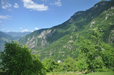 Geniş yeşil dağlar, açık mavi gökyüzüne karşı yükselip doğanın güzelliğini gözler önüne seriyor. Bereketli ağaçlar güneşli bir günde İtalyan kırsalında huzurlu bir atmosfer yaratır..