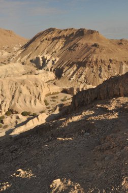 Majestic tepeleri kuru araziden keskin bir şekilde yükselir ve öğleden sonra güneşinin altında uzun gölgeler bırakır. Manzara, uzak bir çöl bölgesindeki eşsiz jeolojik oluşumları gösteriyor..