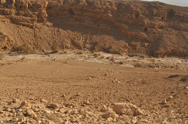 Kurak bir arazide kayalık oluşumlar ve minimum bitki örtüsüyle pürüzsüz ve kuru bir zemin bulunur. Açık kahverengi renk sahneye hakim, sıcak bir iklime işaret ediyor..