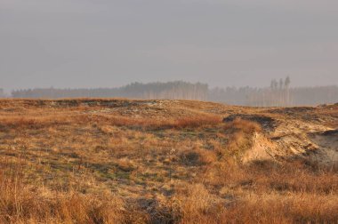Barışçıl bir manzara, uzak bir ormanı ortaya çıkaran, uzun altın otlarla kaplı sis kaplı bir tarlayı gösteriyor. Sahne şafağın ilk ışıklarını yakalıyor, doğanın sakin güzelliğini vurguluyor..