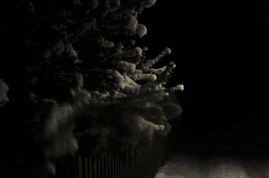 Huzurlu bir kış ortamında, karla kaplı bir ağaç karanlık gece gökyüzüne karşı duruyor. Yumuşak ışık, yakınlardaki bir çitin üzerine gölgeler düşürür ve sakin bir atmosfer yaratır..