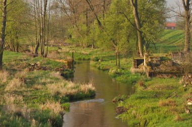 Huzurlu bir dere, canlı yeşil çimenler ve filizlenen ağaçların arasından yavaşça akar. Sahne, yeni büyüme ve sükunet içeren ilkbaharın başlarında doğanın güzelliğini yakalıyor..