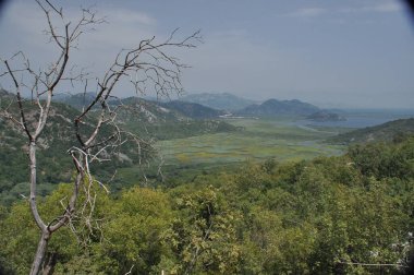 Yamaçtan panoramik bir manzara dağlarla ve canlı yeşil ağaçlarla çevrili bir gölün dingin güzelliğini yakalar. Parlak mavi gökyüzü doğadaki barışçıl atmosferi arttırır..