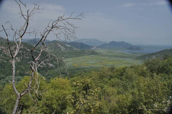Yamaçtan panoramik bir manzara dağlarla ve canlı yeşil ağaçlarla çevrili bir gölün dingin güzelliğini yakalar. Parlak mavi gökyüzü doğadaki barışçıl atmosferi arttırır..