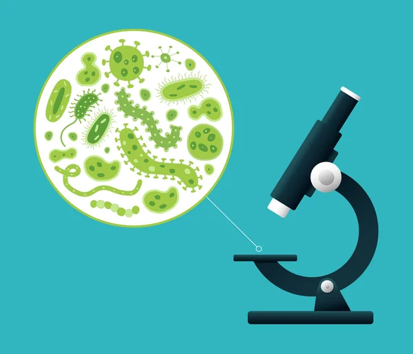 Зелені мікроби, які переглядає мікроскоп Векторні ілюстрації — стоковий вектор