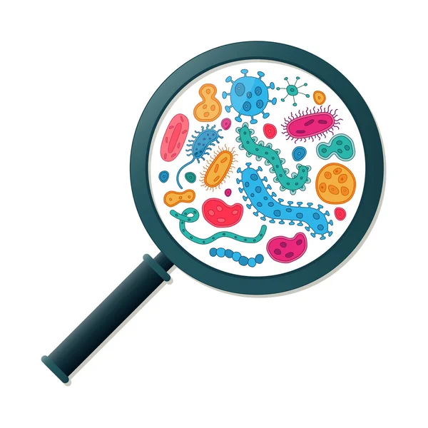 Πράσινο, κόκκινο, ροζ, πορτοκαλί και μπλε τα μικρόβια και μεγεθυντικό φακό-εικονογράφηση φορέας — Διανυσματικό Αρχείο
