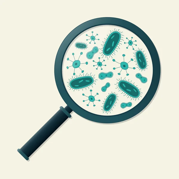 Зелені мікроби і збільшувальне скло Векторні ілюстрації — стоковий вектор