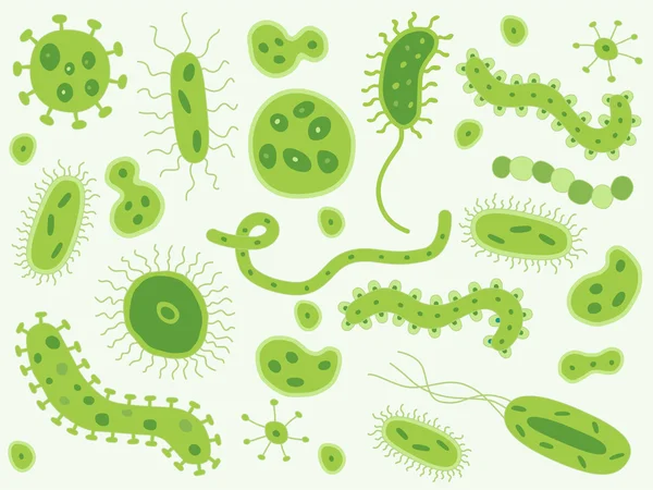 Hand getrokken groene bacteriën en ziektekiemen — Stockvector