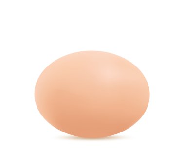 Bir gerçekçi yumurta