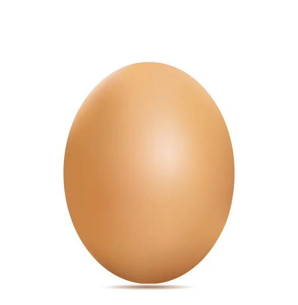 One realistic egg — Stock Vector