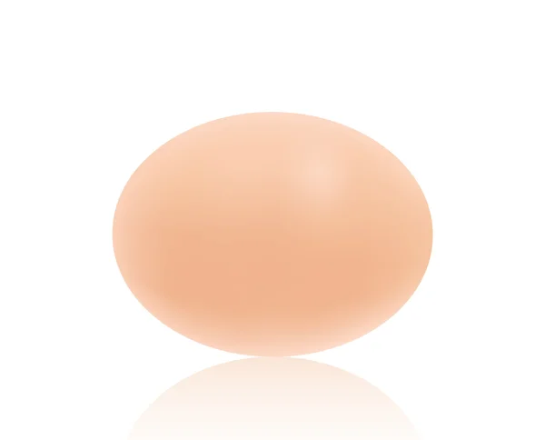One realistic egg — Stock Vector