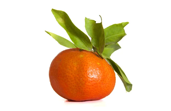 Orange — Stock Photo, Image