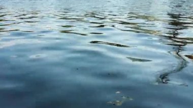 Bu güneşli günde, nehirdeki su hafifçe dalgalanıyor.