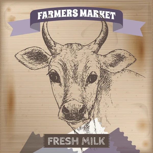 Vintage farmers market label with milk cow. — Stock Vector