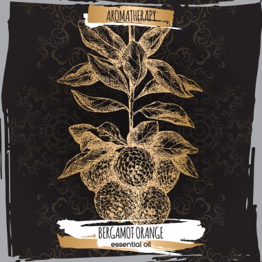 Bergamot turuncu kroki dantel siyah ve altın arka plan üzerinde