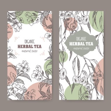Okaliptüs ve Yasemin organik bitkisel çay için iki etiket.