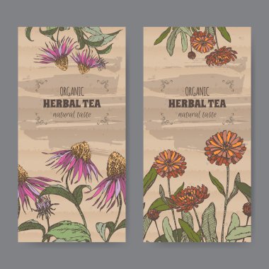 Calendula ve Ekinezya bitkisel çay için iki renk vintage etiketleri. 
