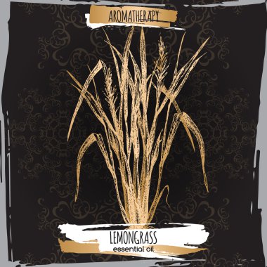 Zarif siyah dantel zemin üzerine sereh kroki. 