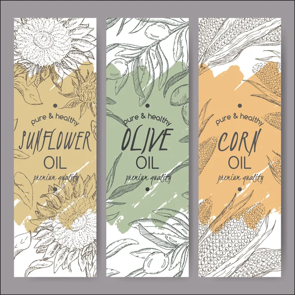 Three vector sunflower, olive, corn oil label templates. — Stock Vector
