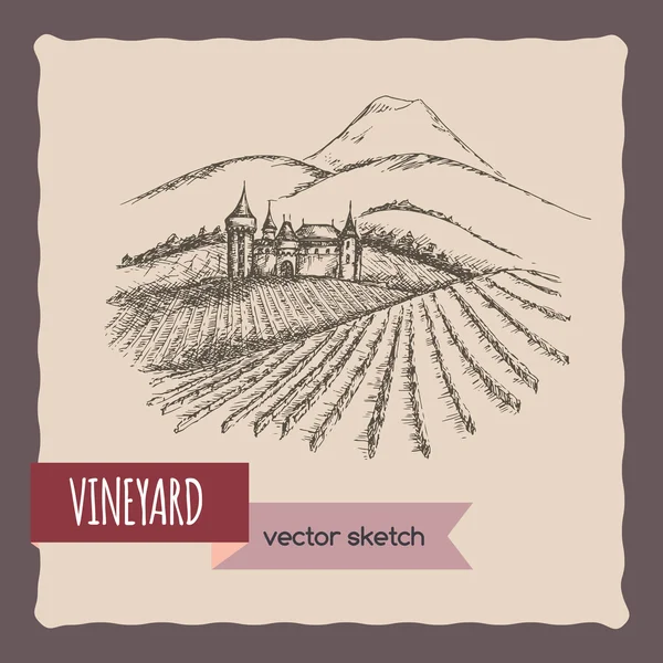 Bosquejo vectorial dibujado a mano de viñedo, castillo y paisaje de montaña — Archivo Imágenes Vectoriales