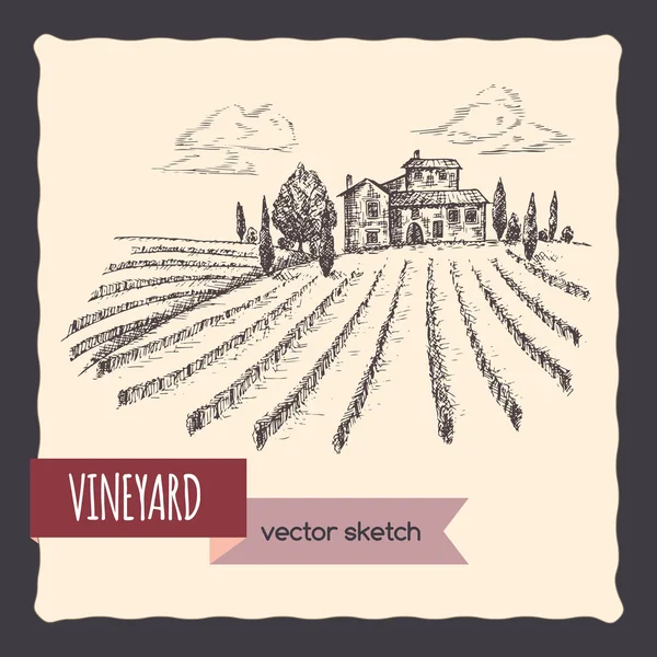 Viñedo y casa de campo paisaje dibujado a mano vector boceto . — Archivo Imágenes Vectoriales