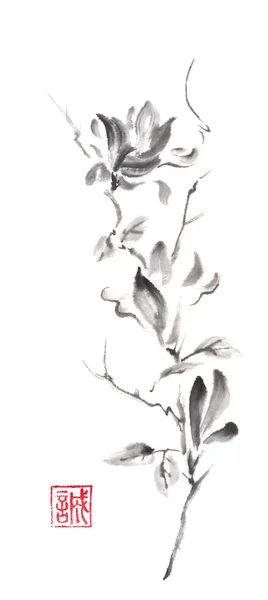 Magnolia rolagem estilo japonês original sumi-e tinta pintura . — Fotografia de Stock