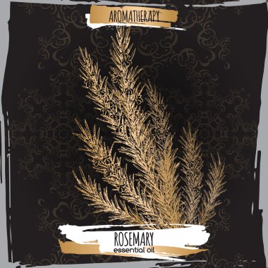 Zarif siyah dantel zemin üzerine biberiye kroki.