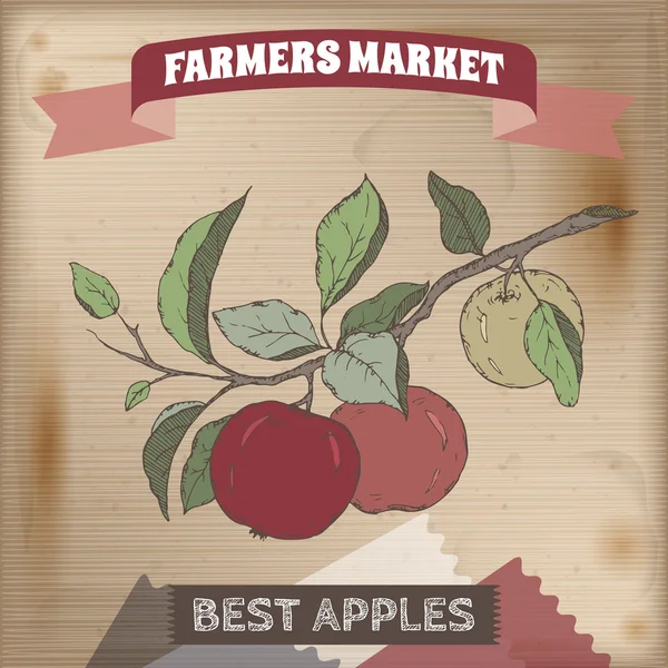 Etiqueta de mercado de agricultores vintage con boceto de color rama de manzana . — Archivo Imágenes Vectoriales