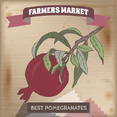 Çiftçi pazar etiket taze nar rengi kroki ile.