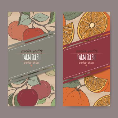 İki etiket karton üzerine portakal ve elma renk kroki ile.