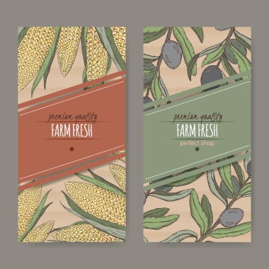 İki etiket karton üzerine Mısır ve zeytin renkli kroki ile.