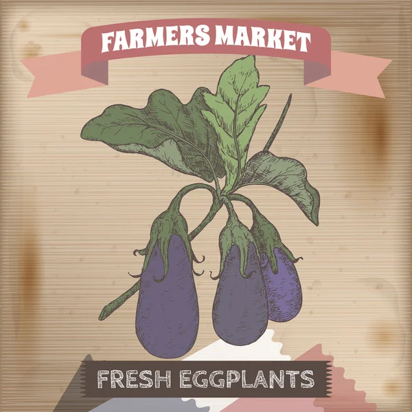 Etiqueta de mercado del agricultor con berenjenas en un boceto de color de rama . — Archivo Imágenes Vectoriales