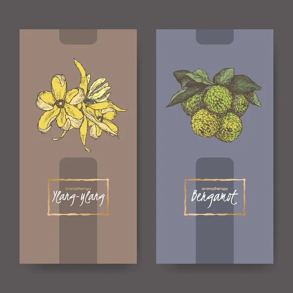 랑과 bergamot 꽃다발 색상 두 우아한 레이블을 스케치합니다. — 스톡 벡터